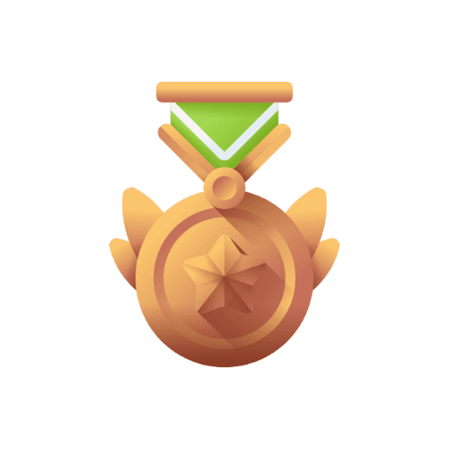2nd runner-up medal